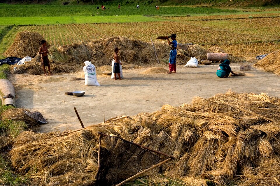 Women working