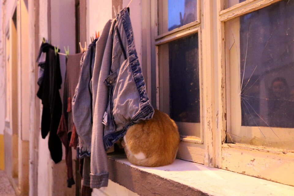 Clothes house