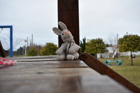 Cloudy play rabbit