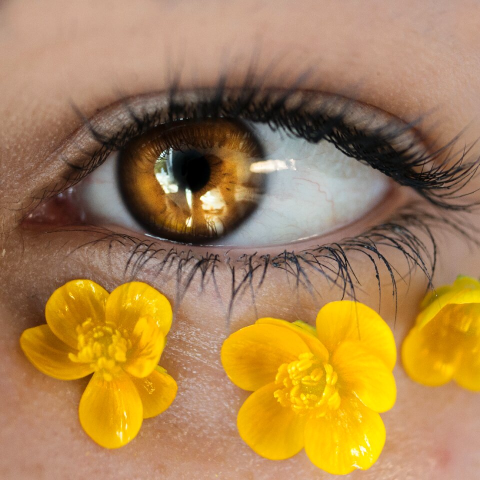 Golden macro