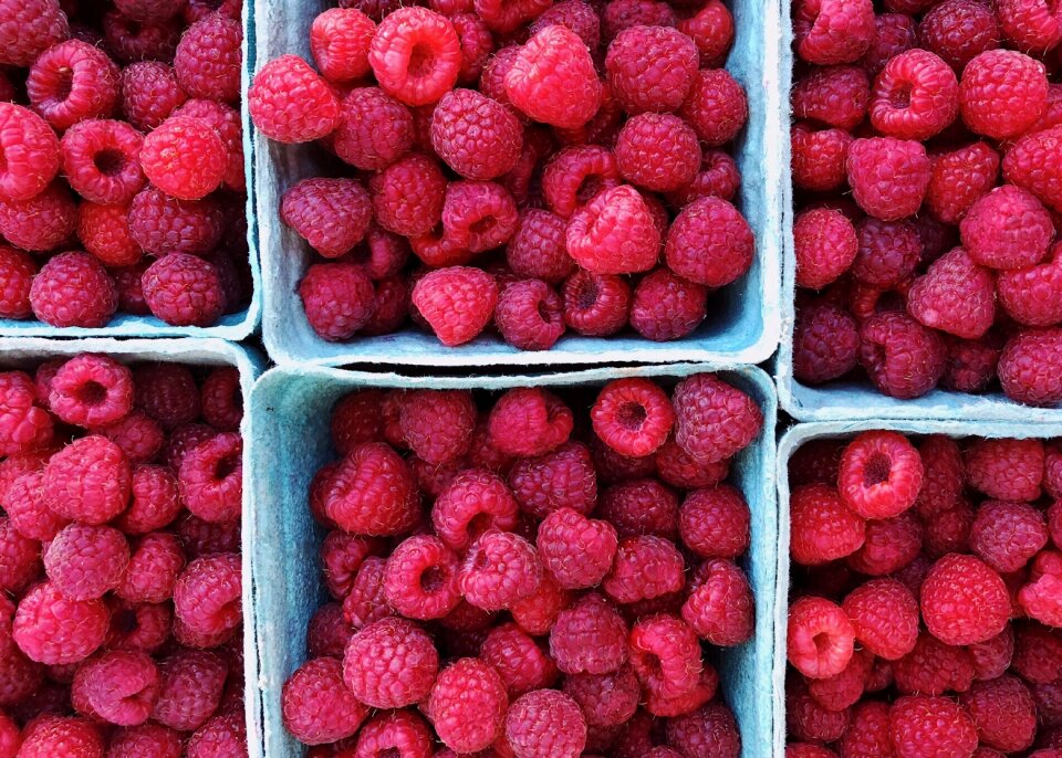 Fresh summer sweet