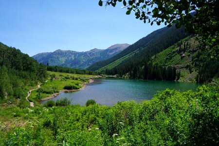 Landscape nature forest photo