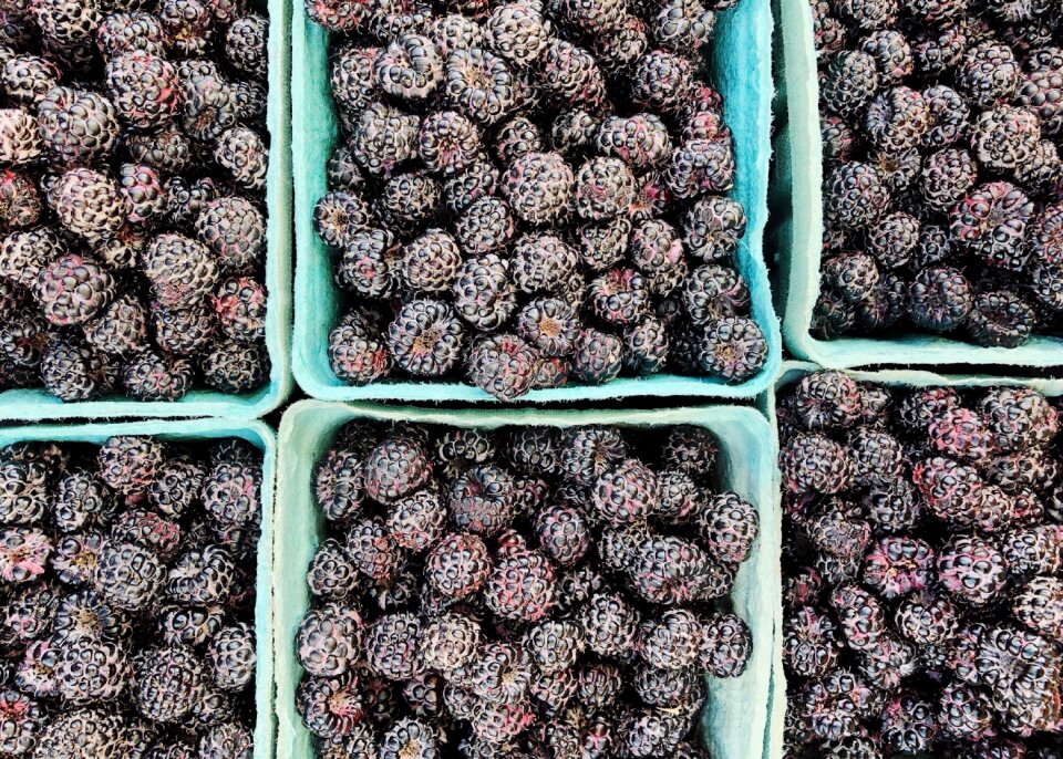 Fruits sweet summer