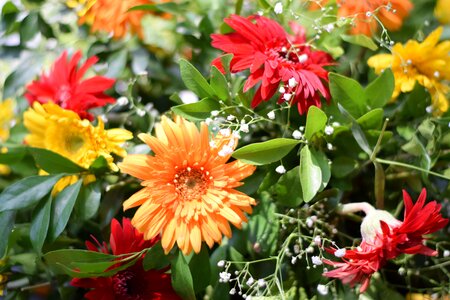 Green colorful wedding