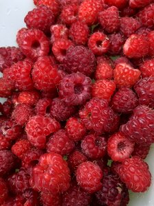 Fresh vitamins healthy