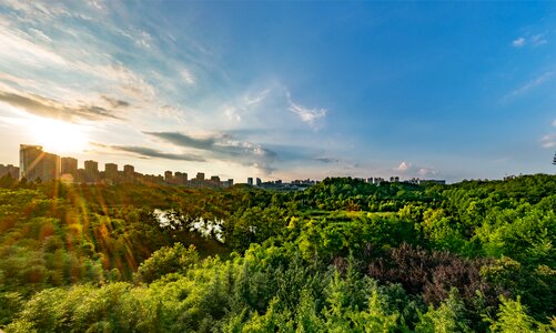 Ecology sunshine health