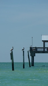 Fishing perched pier photo