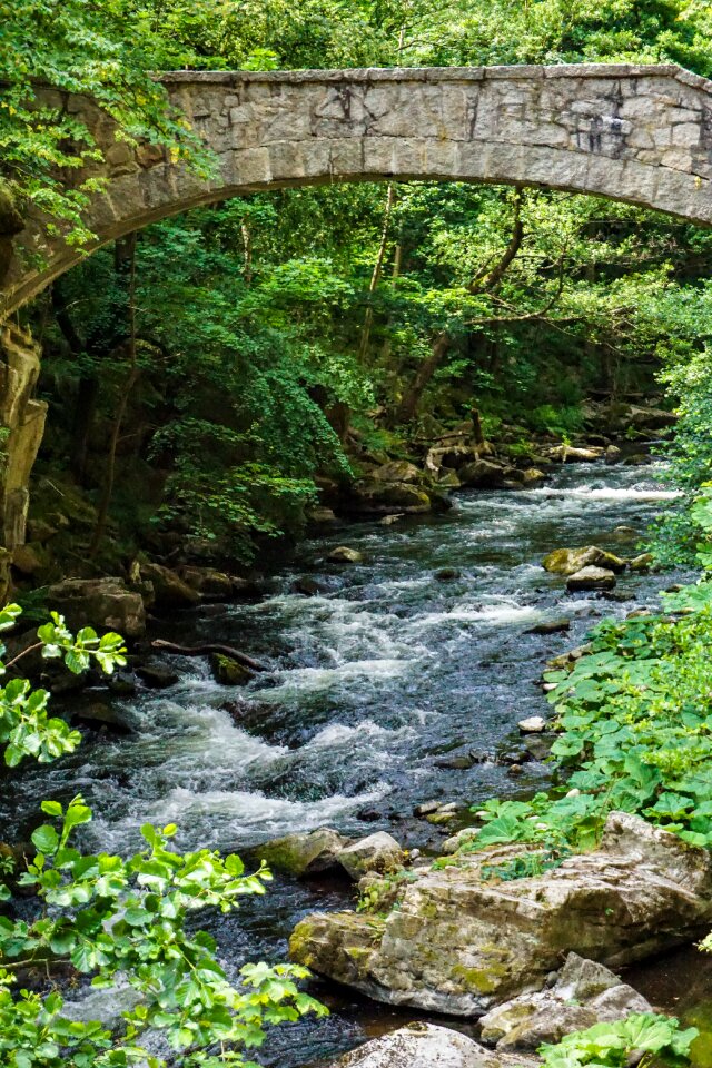 Nature inject movement