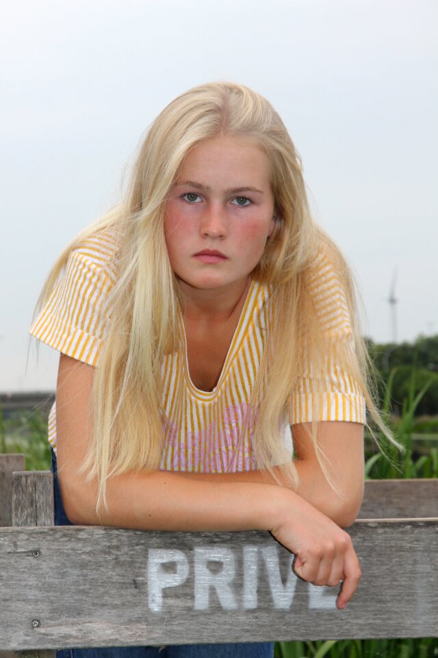 Bridge wood fashion