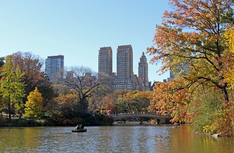 New york nature landscape