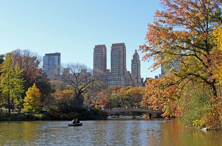 New york nature landscape photo