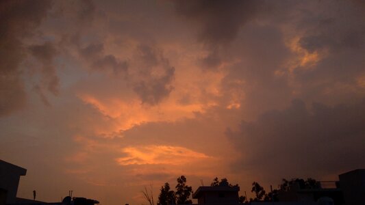 Sunset silhouette