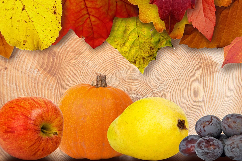 Fruits deco still life
