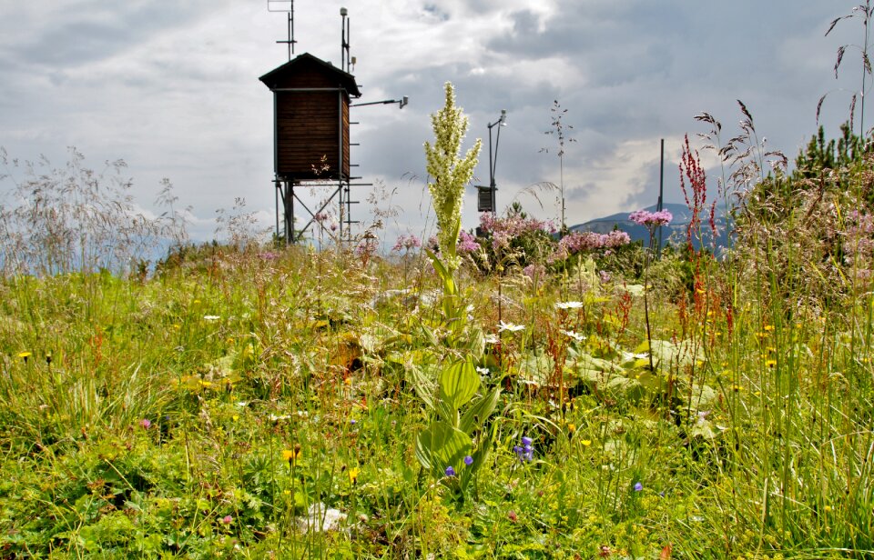 Plants weather station