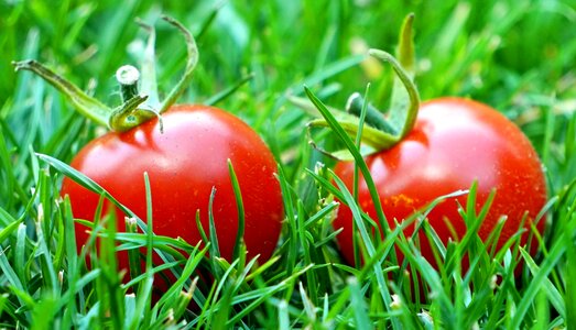 Vegetables vitamins food