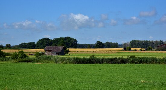 Rural summer arable land photo