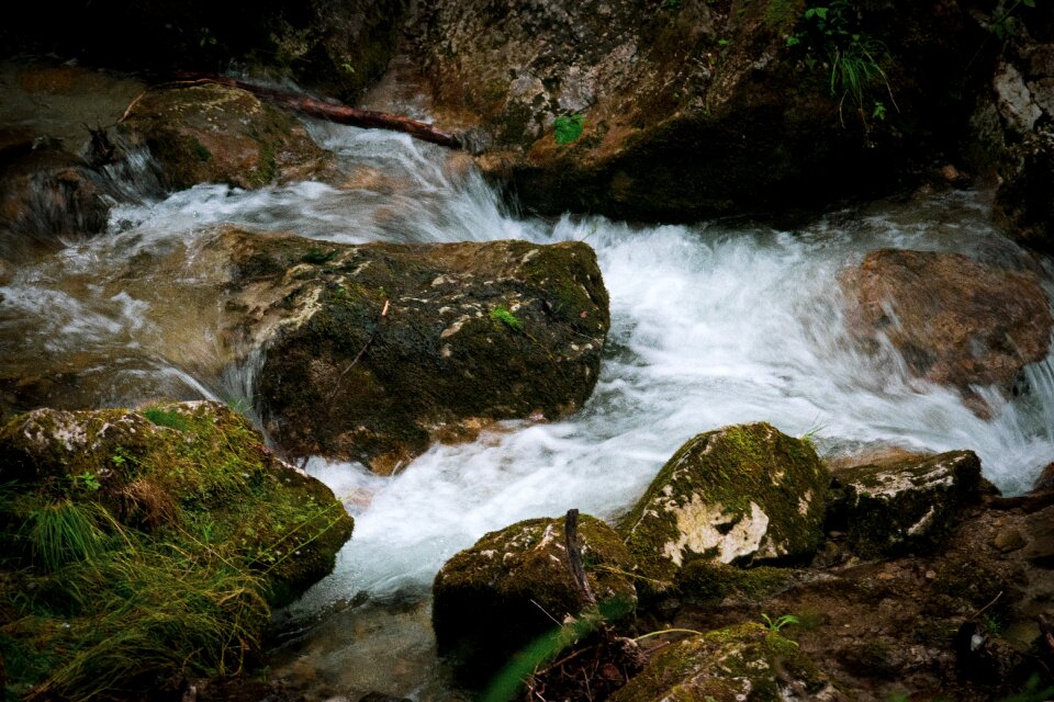 Austria nature outdoors