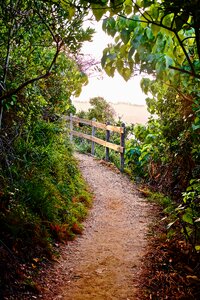 Nature hiking walk