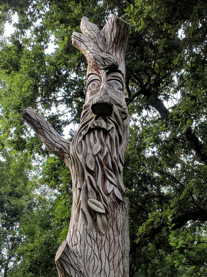 Man nature outdoor