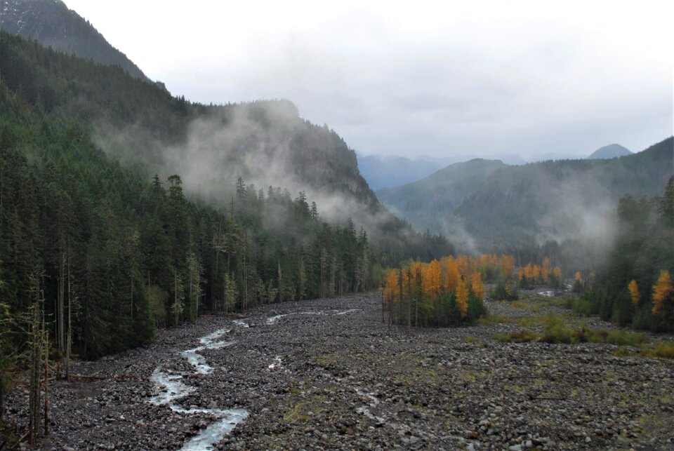 Usa fog landscape