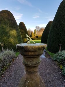 Leaf grass garden