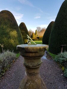 Leaf grass garden photo