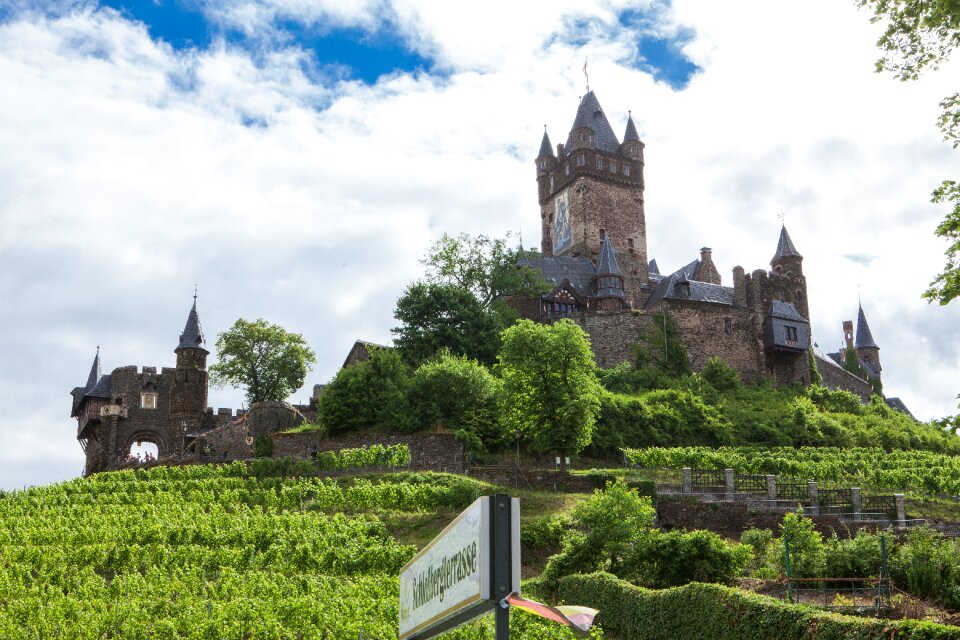 Castle winegrowing vines