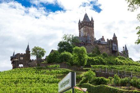 Castle winegrowing vines photo