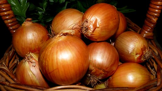 Cooking brown onion healthy photo
