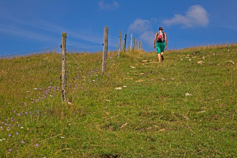 Leisure landscape meadow