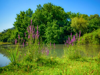 Morning sunshine landscape