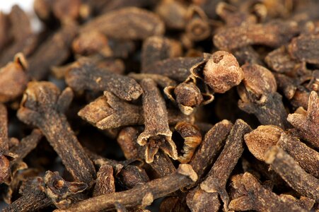 Healthy natural dried photo