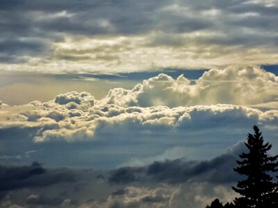 Nature twilight mood photo