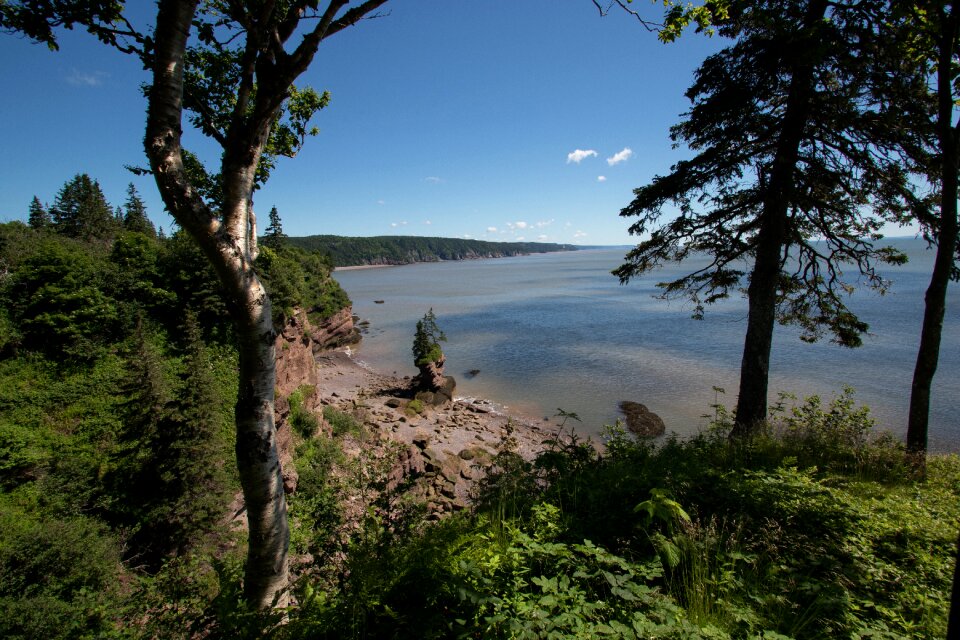 Bay of fundy landscape summer