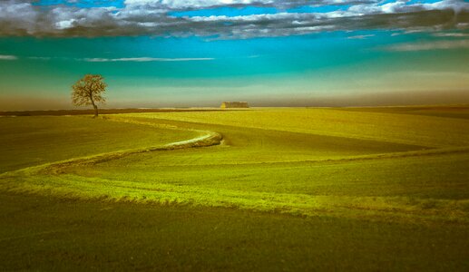 Figure summer landscape