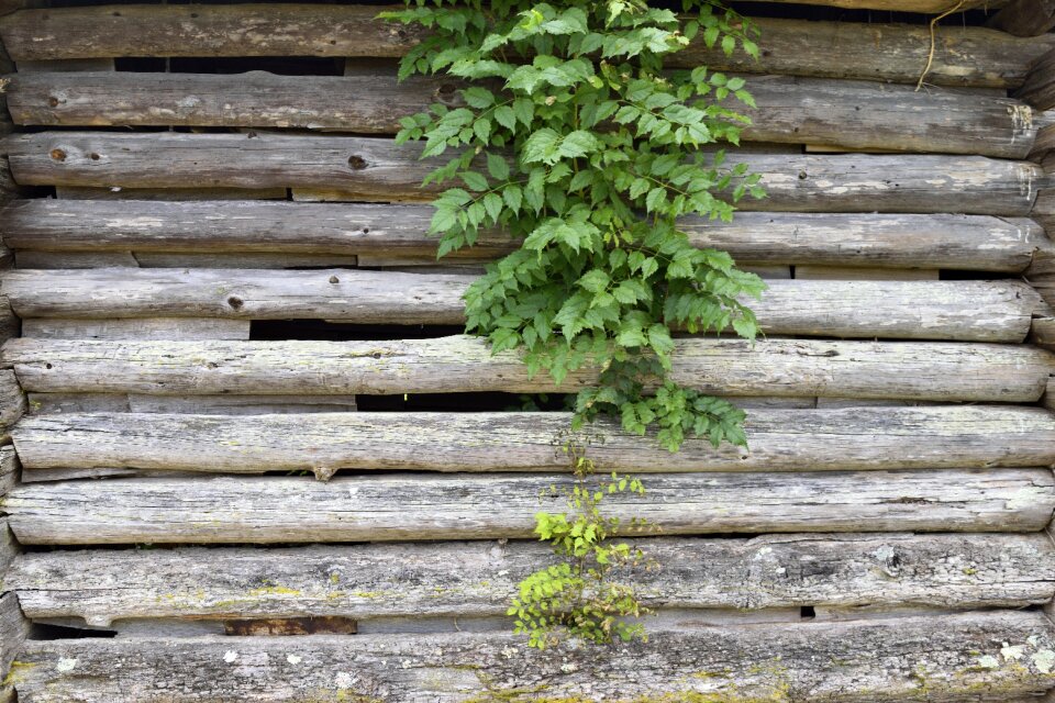 Log cabin building old photo