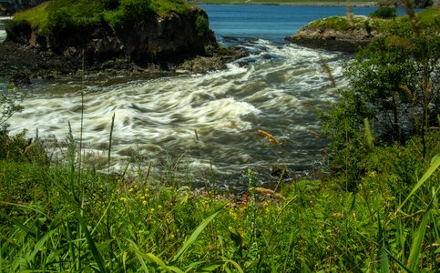 City reversing falls water photo