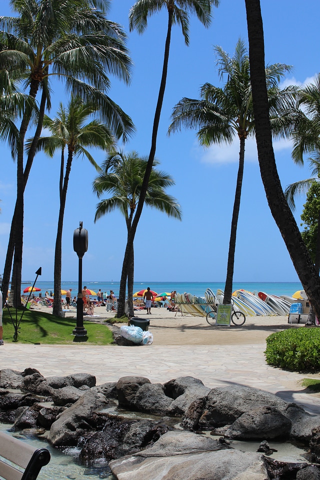 Honolulu ocean sea