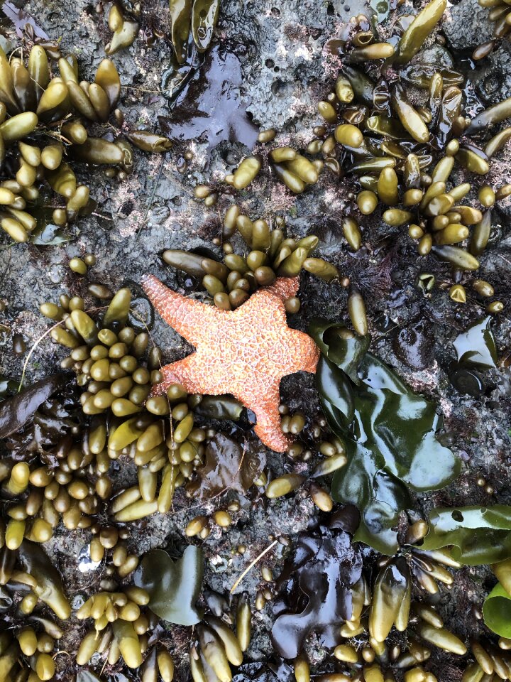 Sea ocean marine
