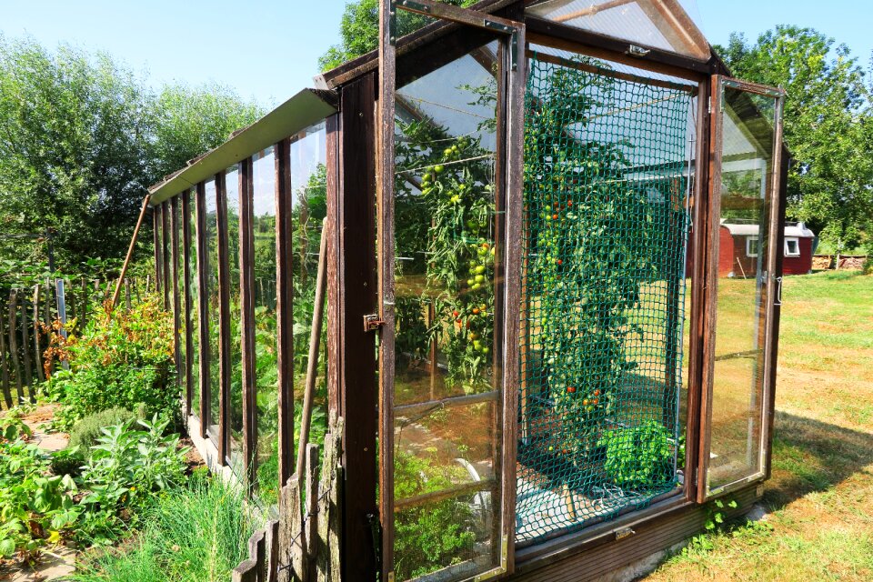 Summer nature greenhouse