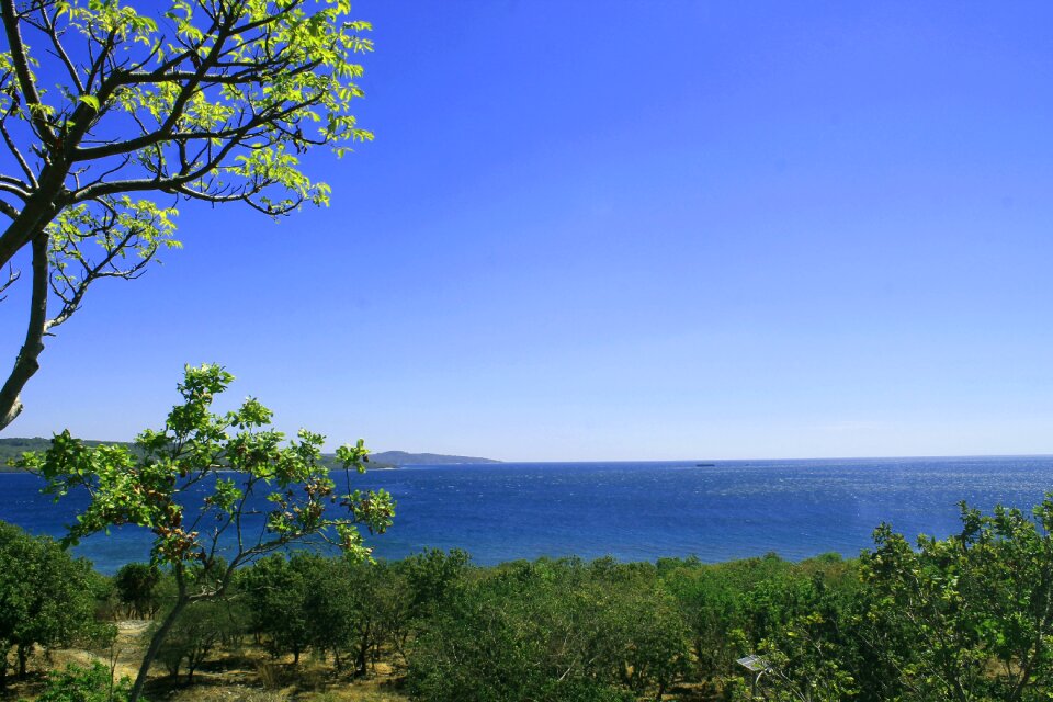 The sea nature color