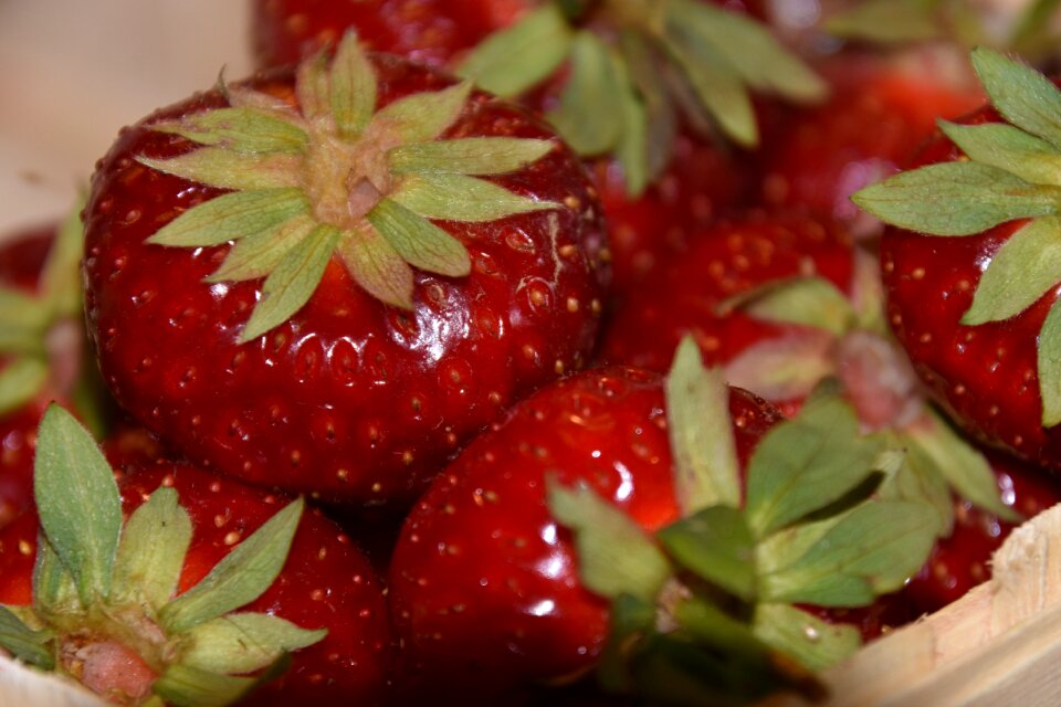 Basket ripe fruits