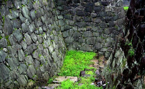 Wall moss stone photo