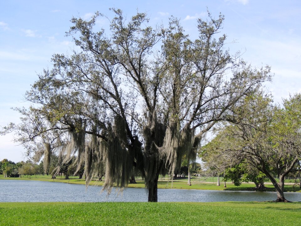 Landscape outdoors water