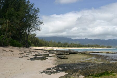 Shore seascape tropical