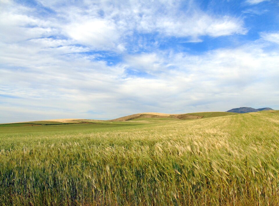 Countryside landscape