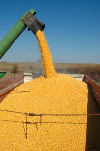Agriculture ethanol food photo