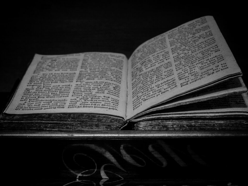 Gothic literature read