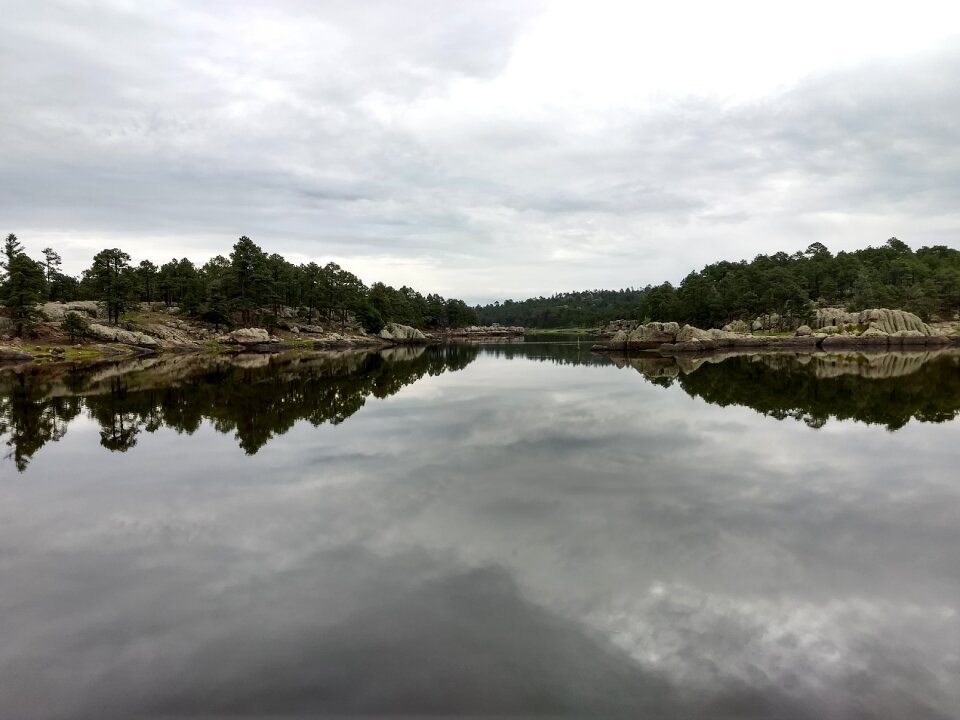 Landscape lake tree