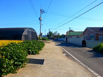 Cottage nonsan country road